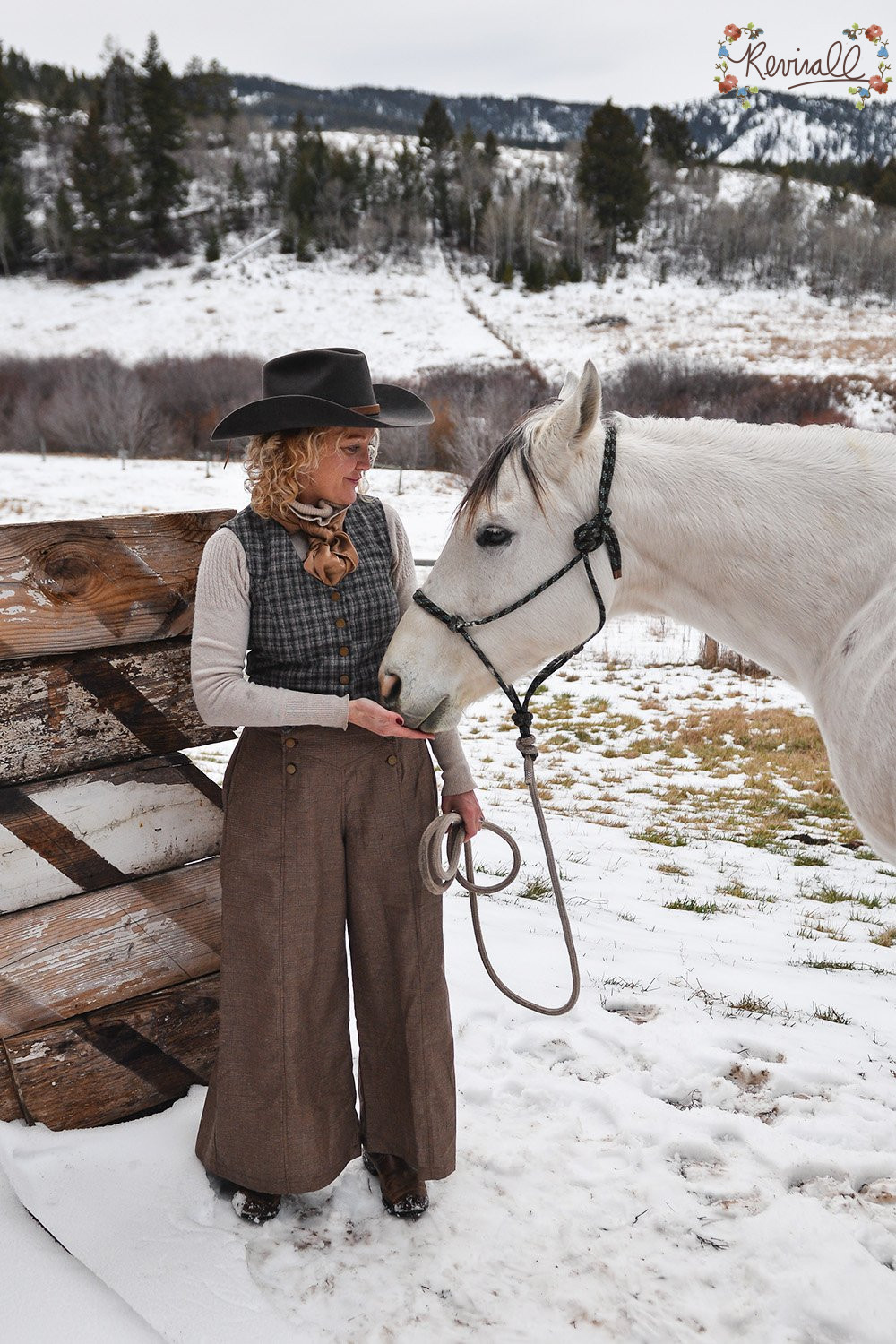 Cotton Riding Pant in Board Room- XS - Image 3
